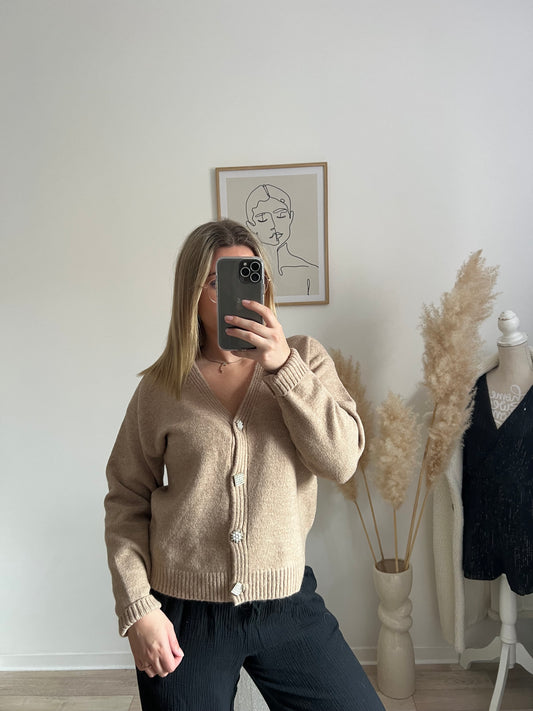 Gilet marron